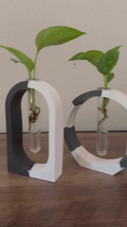 Black & White Propagation Vases